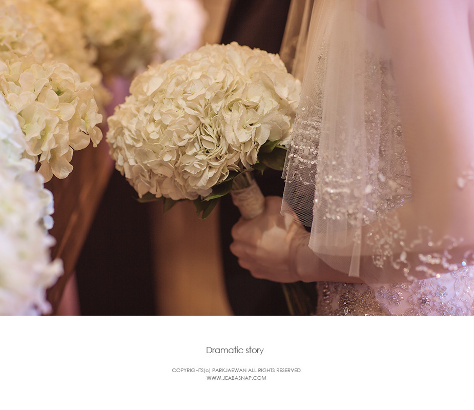 IMG_5477 copy.jpg