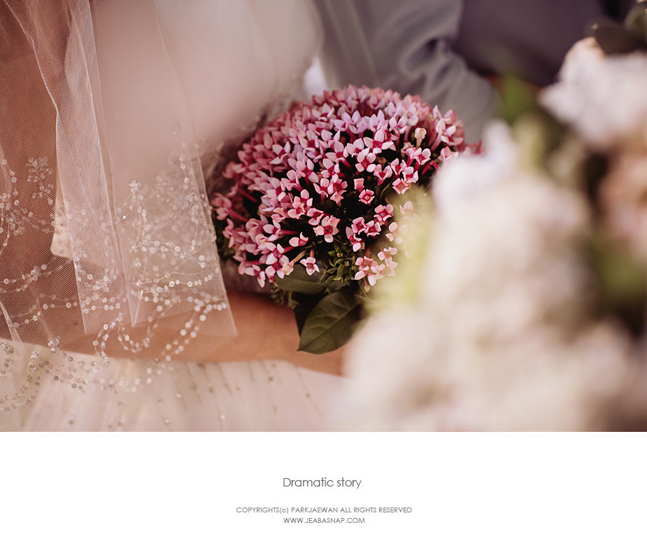 IMG_0823 copy.jpg