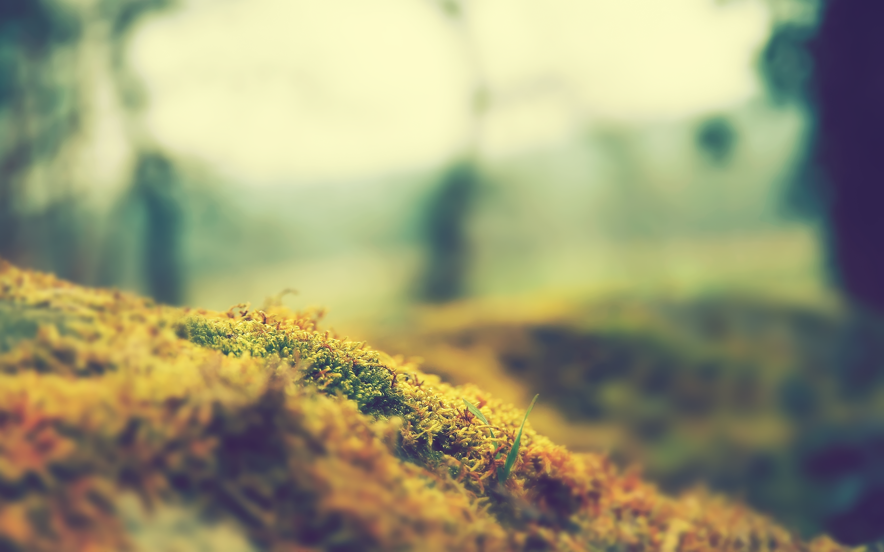 571780b4a0006c0120c777b007bdb5c7.png